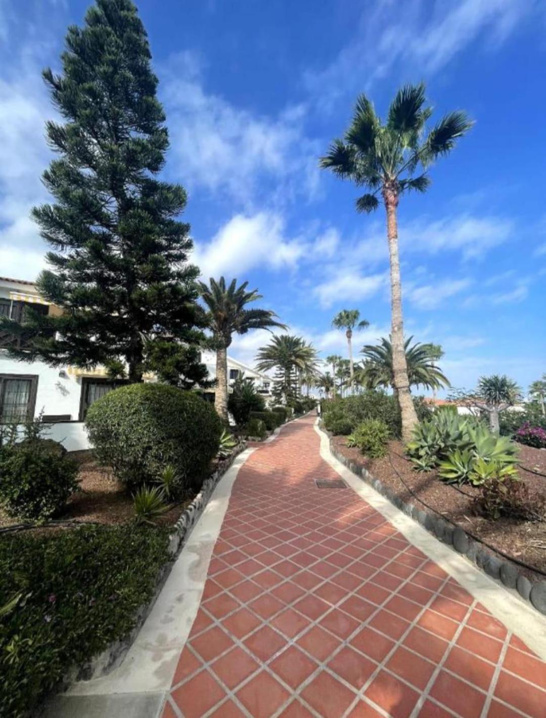Apartment In Amarilla Golf 2 Bedrooms 산미겔데아보나 외부 사진
